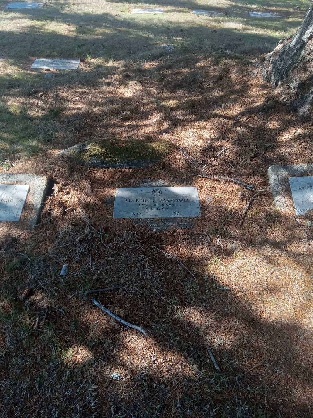 Martin B. Jackson's grave. Photo 2