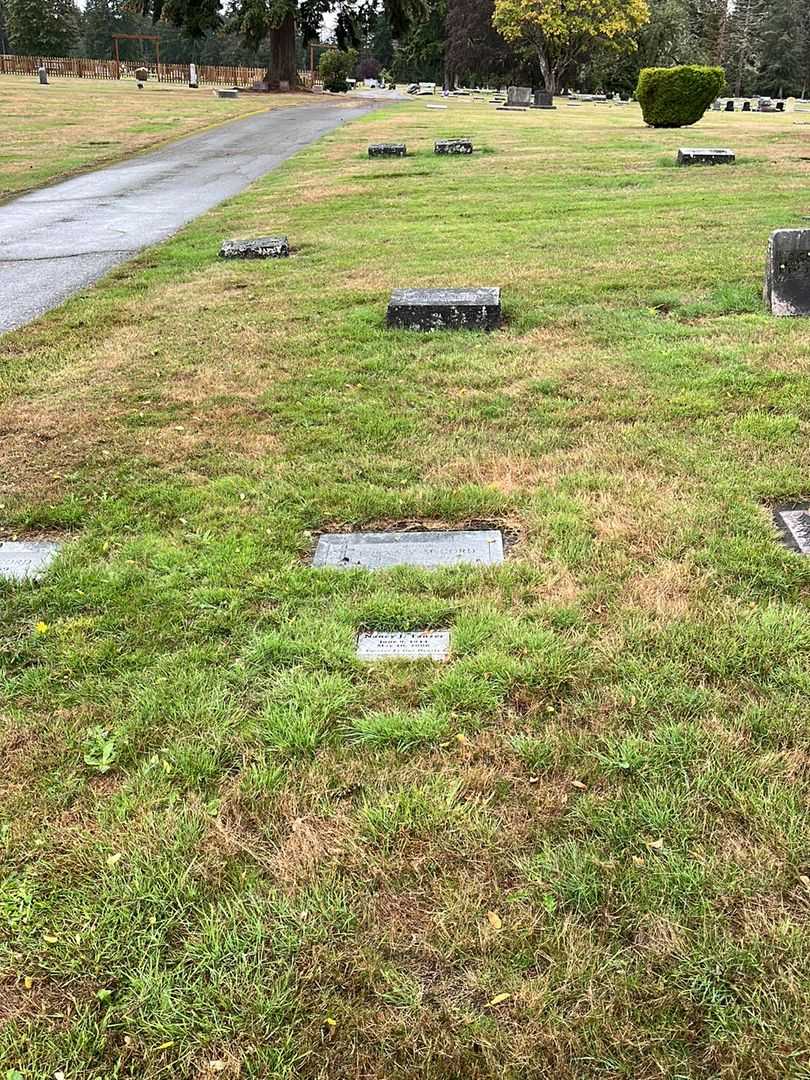 Nancy Joy Tanzer's grave. Photo 2