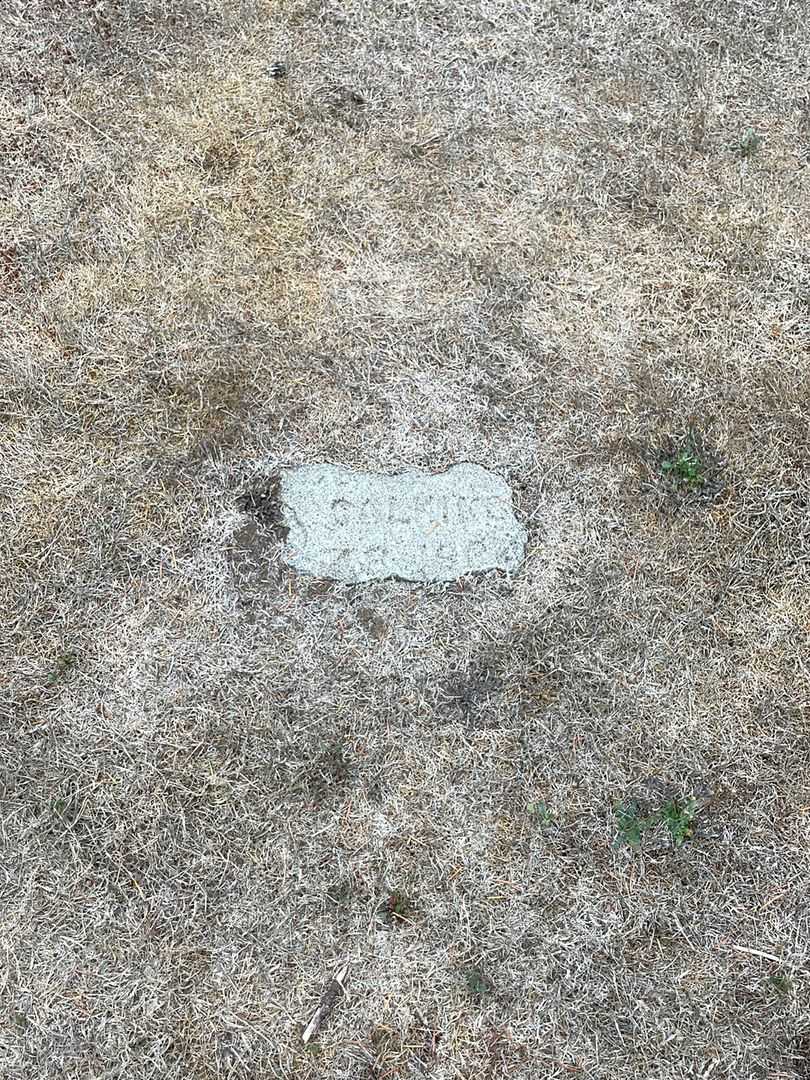 Lucy Calkins's grave. Photo 1
