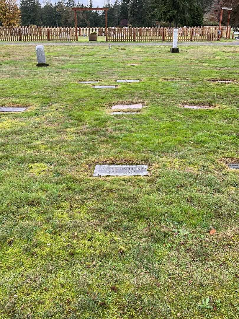 Andrew Backlund's grave. Photo 2