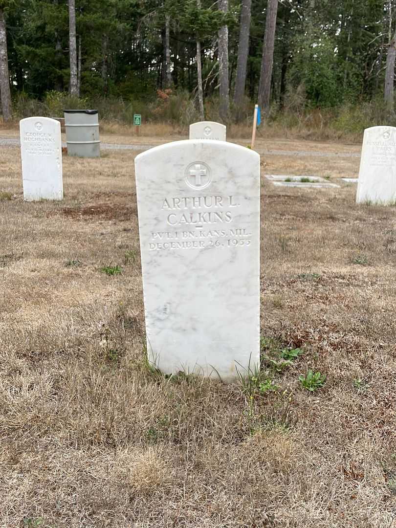 Arthur L. Calkins's grave. Photo 1