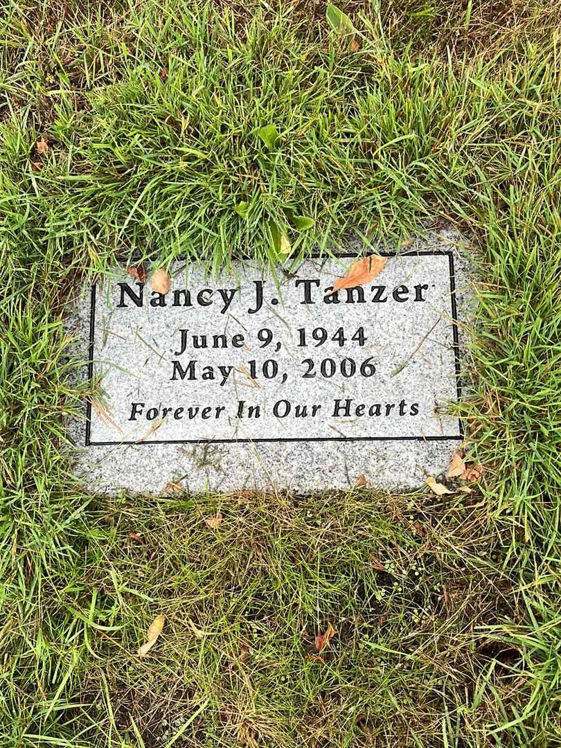 Nancy Joy Tanzer's grave. Photo 4