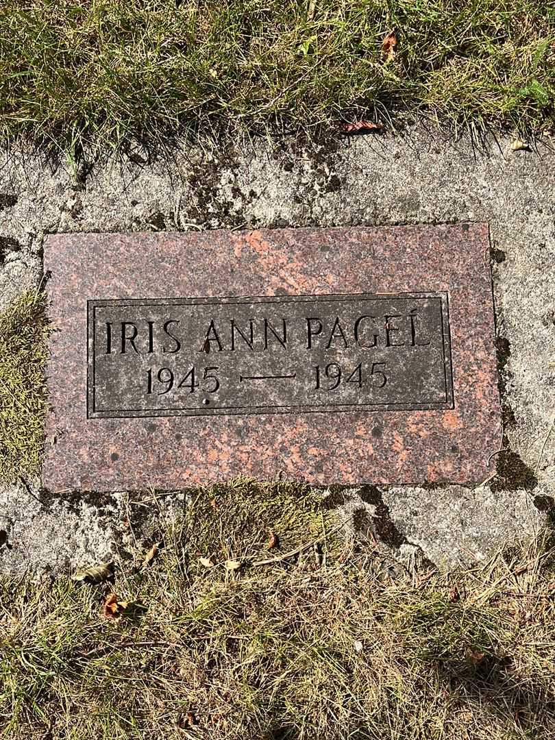 Terrence "Terry" Pagel's grave. Photo 1