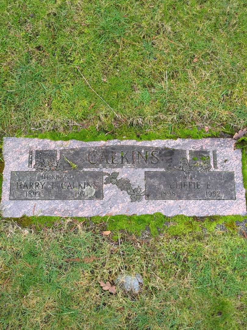 Cliffie E. Calkins's grave. Photo 1