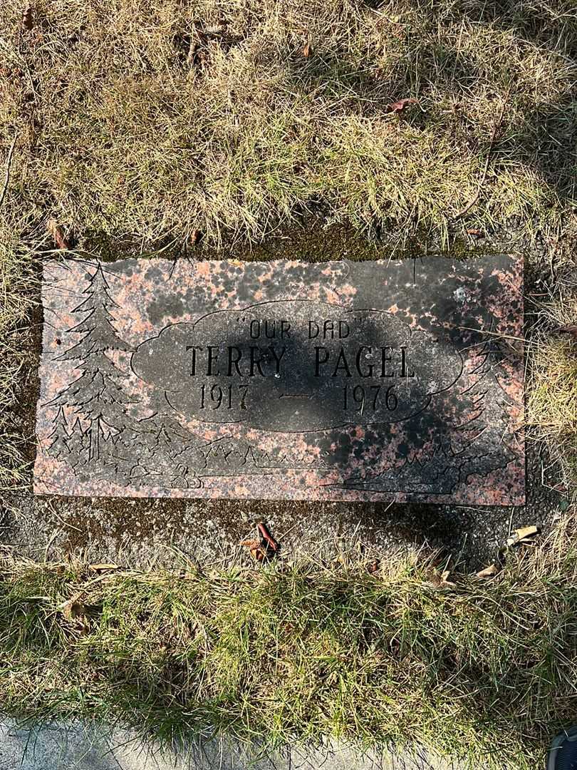 Terrence "Terry" Pagel's grave. Photo 4